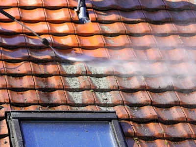 Roof moss removal in Devizes