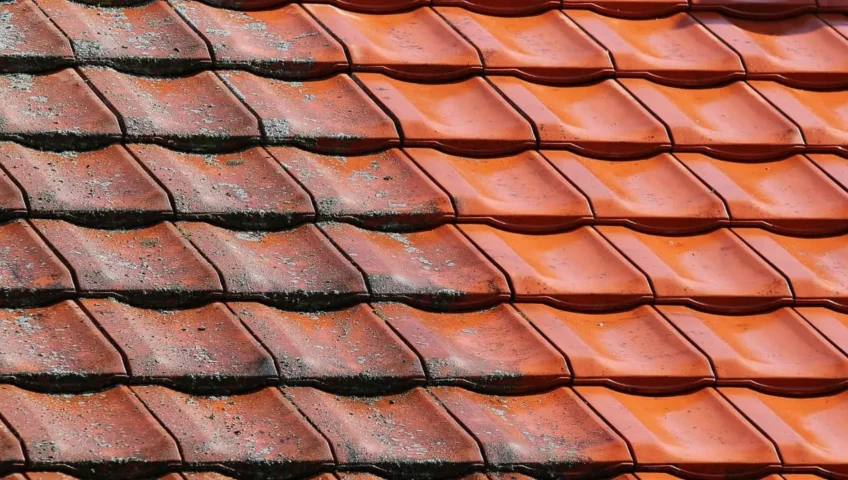 Roof cleaning company near me Southern England