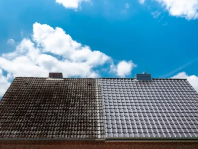 Moss removal Devizes